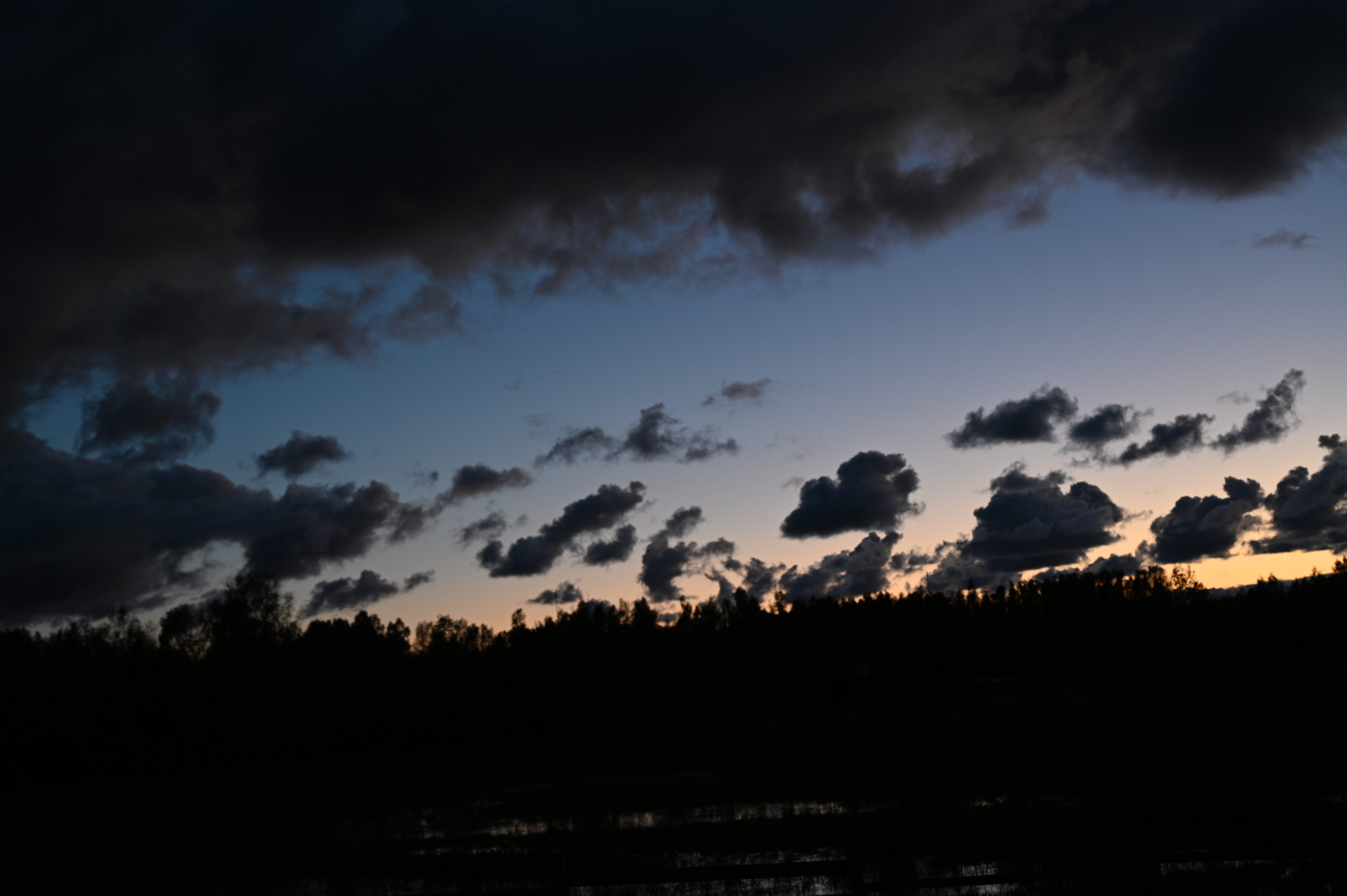 2025/10/18 - walk/DSC_0666.JPG